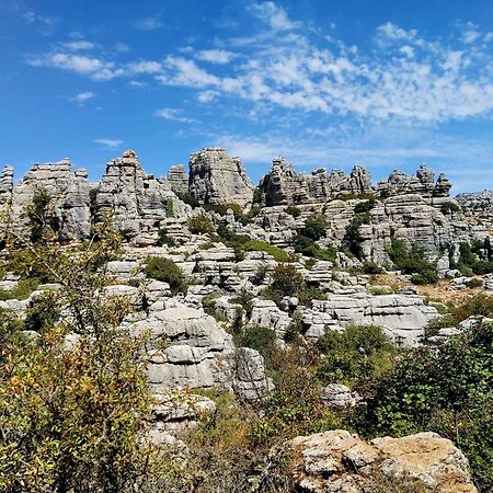 Cactus Hill - Safari Tents - Caminito Del Rey Alora Ngoại thất bức ảnh