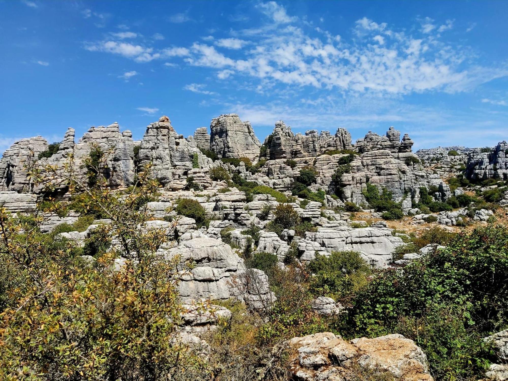 Cactus Hill - Safari Tents - Caminito Del Rey Alora Ngoại thất bức ảnh
